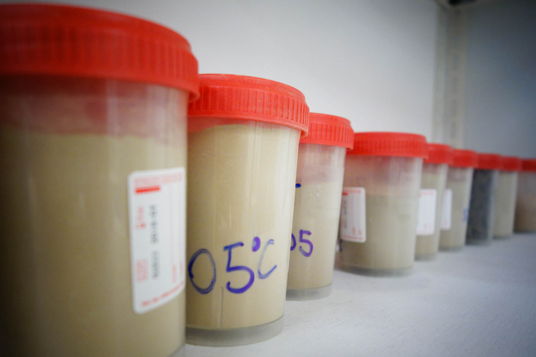 Analisi rifiuti e terreni