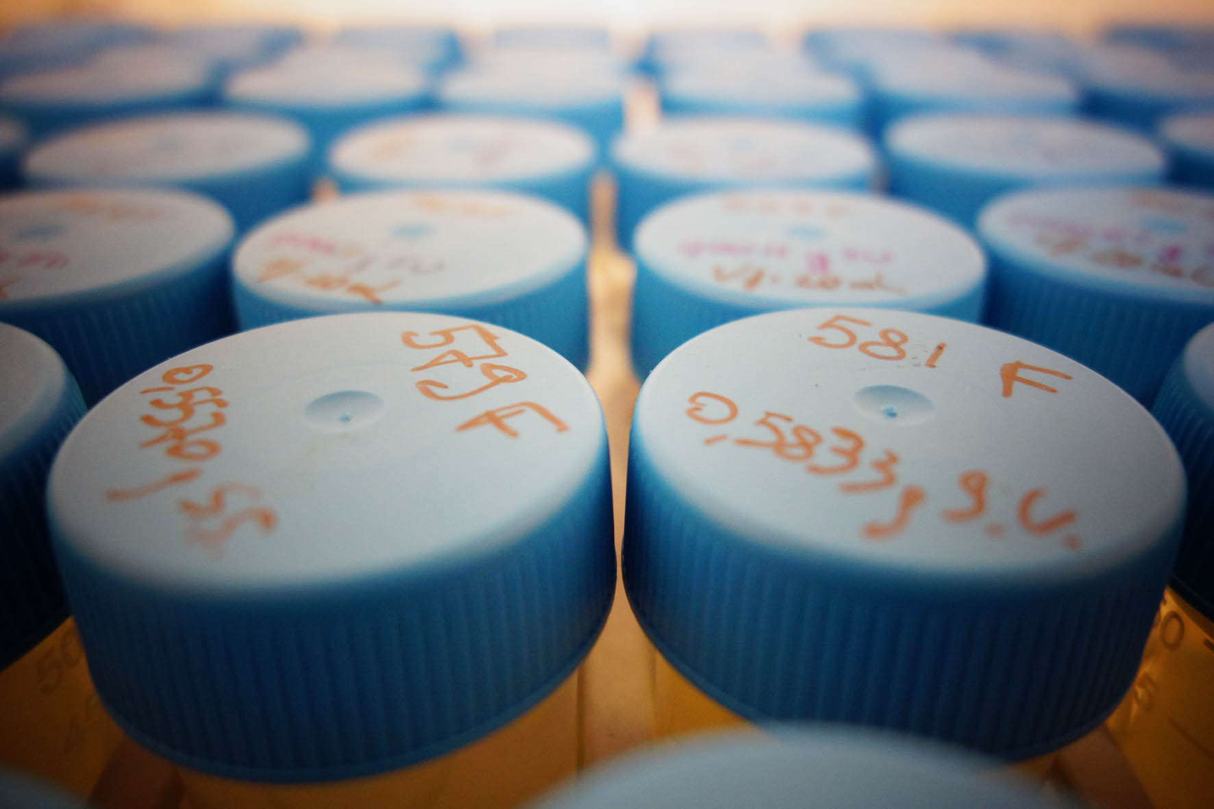 Analisi merceologiche